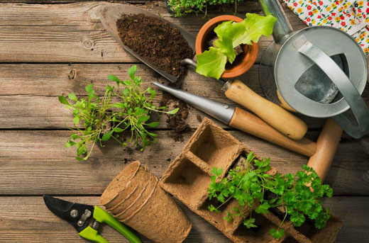Orto 2.0: è tempo di diventare uno Smart Farmer