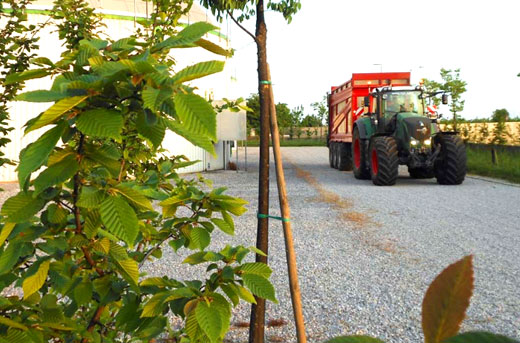 Greenway: biogas a KM 0
