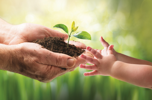 Leroy Merlin Italia, la cultura dell’abitare rispettosa dell’ambiente