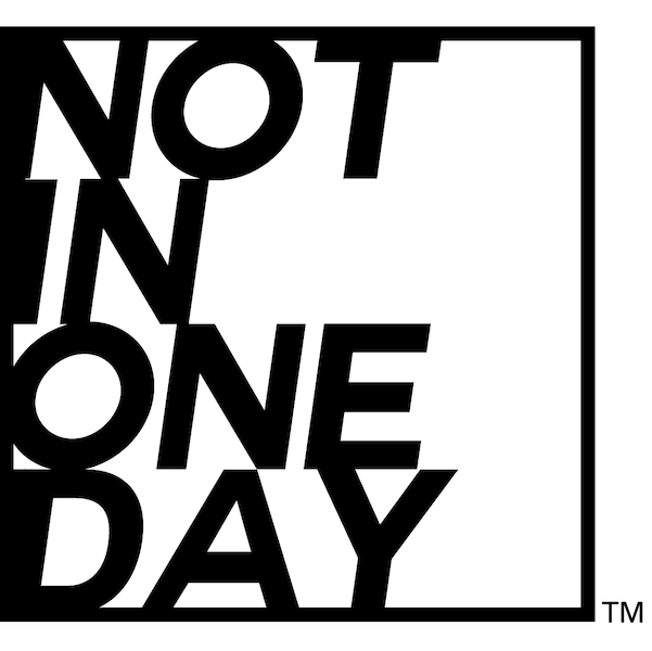 Interviste alle Startup: Not in One Day