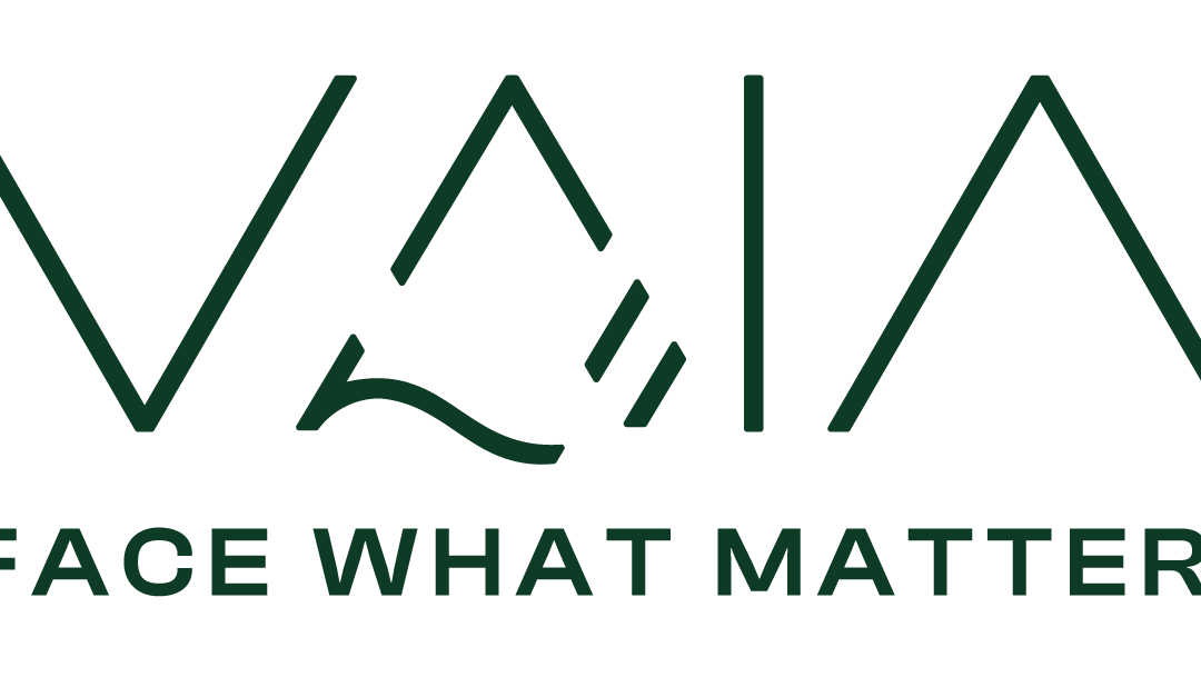 Interviste alle Startup: Vaia