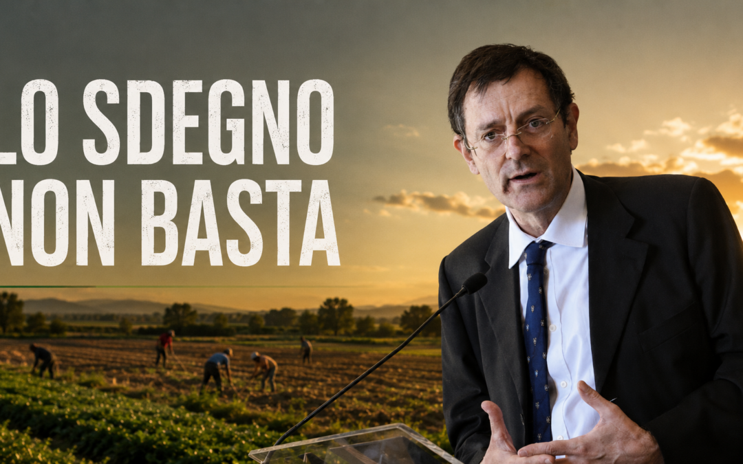 amendolara